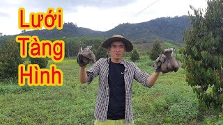 Lưới Bẫy Chim. Lưới Tàng Hình Chuyên Bắt Chim Cu Gía Rẻ. Lưới Cước Thái 100%. LH: 096 14 14 12