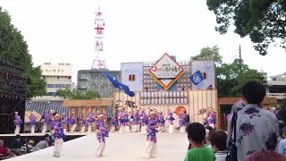 エースワングループ　2022よさこい鳴子踊り特別演舞　高知城演舞場1日目