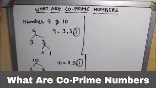 What Are Co-Prime Numbers / Co-Prime Numbers