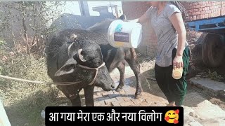 अब फिर से आएंगे मेरे नए नए विलोग डेली 🙏#plz subscribe 🙏#swati khatri vlogs ♥️