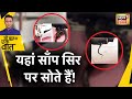 Sau Baat Ki Ek Baat : Snakes के सिर पर लटकने का डरा देने वाला Viral Video | Malaysia | News18