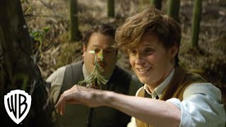 Fantastic Beasts and Where to Find Them | 4K Trailer | Warner Bros. Entertainment