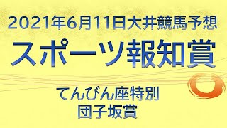 スポーツ報知賞予想他てんびん座特別、団子坂賞【大井競馬予想】