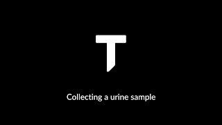 Collecting a urine sample