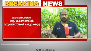 വയനാട്ടിൽ കാട്ടാനയുടെ ആക്രമണത്തിൽ മധ്യവയസ്കന് പരുക്കേറ്റു