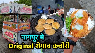 शेगाव कचोरी नागपूर | Original Shegaon Kachori In Nagpur Just For 30/- Rs