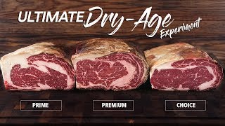 Which STEAK Grade is best to DRY-AGE? | GugaFoods