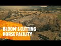 BLOOMS CUTTING HORSE FACILITY