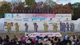 姫龍z 2023ひめじ良さ恋祭り ファイナル演舞