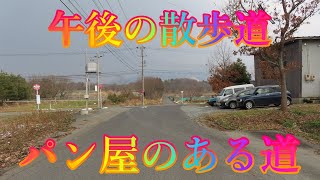 冬散歩 1月31日 金曜 曇り #午後の散歩道 パン屋のある道 日本 鳥取県西伯郡伯耆町丸山 河津桜の丘 @WalkingYoshi