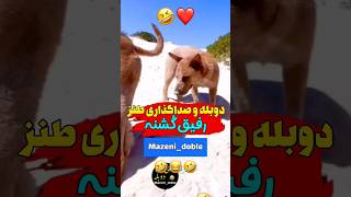 رفیق گُشنه و هول😂🤣 دوبله و صداگذاری حیوانات خنده دار و طنز #shorts