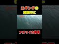 【エギング初心者必見】その11 見えイカ釣れちゃった🦑 釣り ルアー エギング