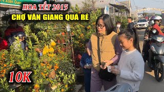 Chợ Tết 2025 | Chợ Hoa Cây Cảnh Giá Rẻ Văn Giang Đông Khách Mua Cây