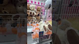 Big Teddy Bear Plush Toy #satisfyingvideo #ufoキャッチャー9 #plushtoy #shortvideo #ufoキャッチャー #ゲーセン #テディベア