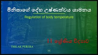 මිනිසාගේ දේහ උෂ්ණත්වය යාමනය ok