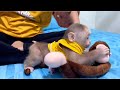 Baby monkey Miker playing with PoPo