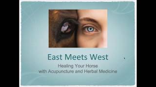 East Meets West: Heal Your Horse Using Acupuncture and Herbal Medicine #horsetherapies