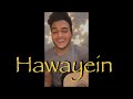 Hawayein -Arijit Singh| Yash Vasishtha tiwari | Guitar cover