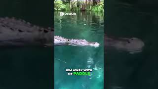 Florida Woman On Paddleboard Has Frightful, Up-Close Encounter With Alligator In Silver River