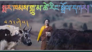 Tibetan Markham song/dance བོད་སྨར་ཁམས་གླུ་མ་ཚེ་རིང་སྒྲོལ་དཀར་ནས་གཞས་བཀྲ་ཤིས།