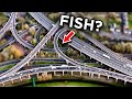 Do Fish Live Under the UK's BIGGEST Interchange?