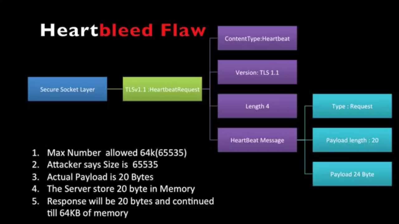 Openssl The Heartbleed Flaw In Openssl,heartbleed Bug Tutorial - YouTube