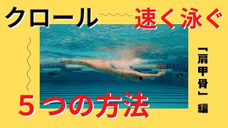 【水泳女子】クロールを速く泳ぎたいあなたへ！「肩甲骨」の特化した練習をしてダイナミックなクロールになろう！