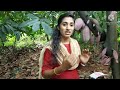 introduction to modern farming u0026cocoa cultivation കൊക്കോ കൃഷി നൂതന അത്യുത്പാതന രീതികൾ പരിചയപ്പെടാം