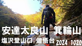 安達太良の真の🍁紅葉🍁は、塩沢コースにあり !!