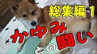 【柴犬りつ】かゆみとの闘い《半年間の闘いの記録〉総集編１      [ShibaInu Ritsu] Fight against itching (for half a year) Omnibus 1