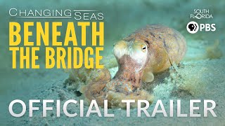 Beneath The Bridge - Trailer