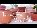 A Look at my New Terracotta Pots for Houseplants