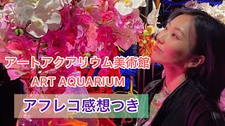 【癒し動画】デートにピッタリなアクアリウム美術館GINZAに行ってきたよ