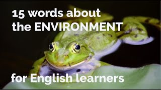 15 Words About - Environment + Free Downloadable Exercise Worksheet (for ESL Teachers \u0026 Learners)