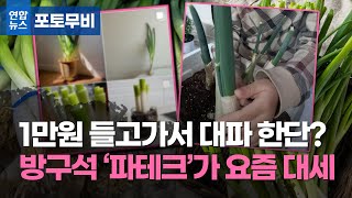 1만원 들고가서 대파 한단? 방구석 '파테크'가 요즘 대세 / 연합뉴스 (Yonhapnews)