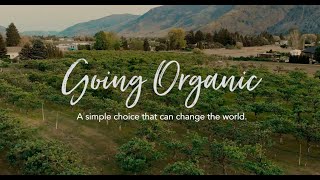 Going Organic: A Simple Choice that Can Change the World