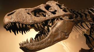 Paleontology | Wikipedia audio article