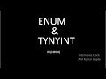 ENUM vs TYNYINT in mysql