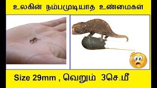 10 உலகின் நம்பமுடியாத உண்மைகள் | Interesting Facts | Smallest Reptile | Tamil | Nodi Thuli