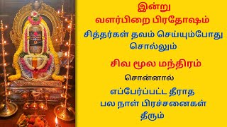 🔥இன்று வளர்பிறை பிரதோஷம் சித்தர்கள் தவம் செய்யும்போது சொல்லும் சிவ மூல மந்திரம் கட்டாயம் சொல்லவும்