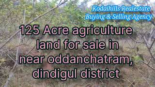 125 Acre agriculture land for sale in near oddanchatram, dindigul district