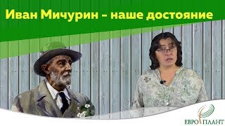 Иван Мичурин – пионер северного садоводства