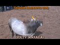 manaparai sevalur jallikattu 2019 part 1