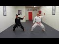 ippon kumite kata 9