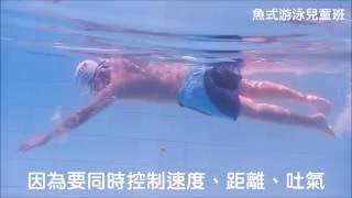 魚式游泳 陳俊勳教練 兒童班 20160723 滾轉與開放式轉身