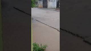 beautiful rain real sounds / ఈ వర్షం సౌండ్ వినండి ఎంత బాగుందో