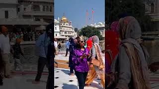 amritsar swarn templ || amritsar tour guide || amritsar golden temple tour || Shorts