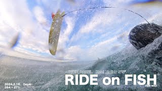 46【胸▽25】2月のパーリング　insta360  POV SURF FISH 24.2.16 DAY4