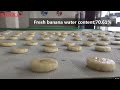 banana dryer machine fruit drying machine food dehydrator