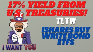 TLTW iShares 20+ Year Treasury Bond BuyWrite Strategy ETF Overview | 17% Yield?